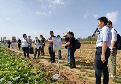 2022年第六屆北京市優質甘薯推介會在密云舉行