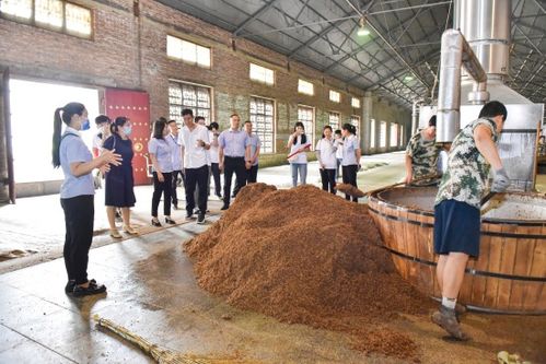 河北農業大學食品科技學院師生赴 劉伶醉 開展社會實踐活動
