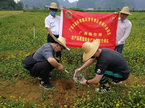 廣西熱作所農(nóng)產(chǎn)品質(zhì)量安全產(chǎn)業(yè)科技先鋒隊(duì)到馬山縣開(kāi)展科技服務(wù)