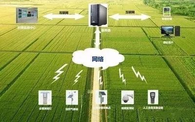 未來農業科技暢想曲:植物工廠、智慧農業、功能食品