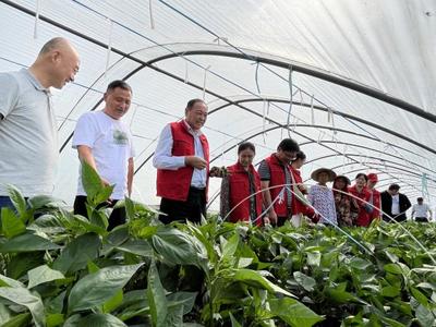 省園藝學會組織開展秋季設施蔬菜產業現場指導科技志愿服務活動